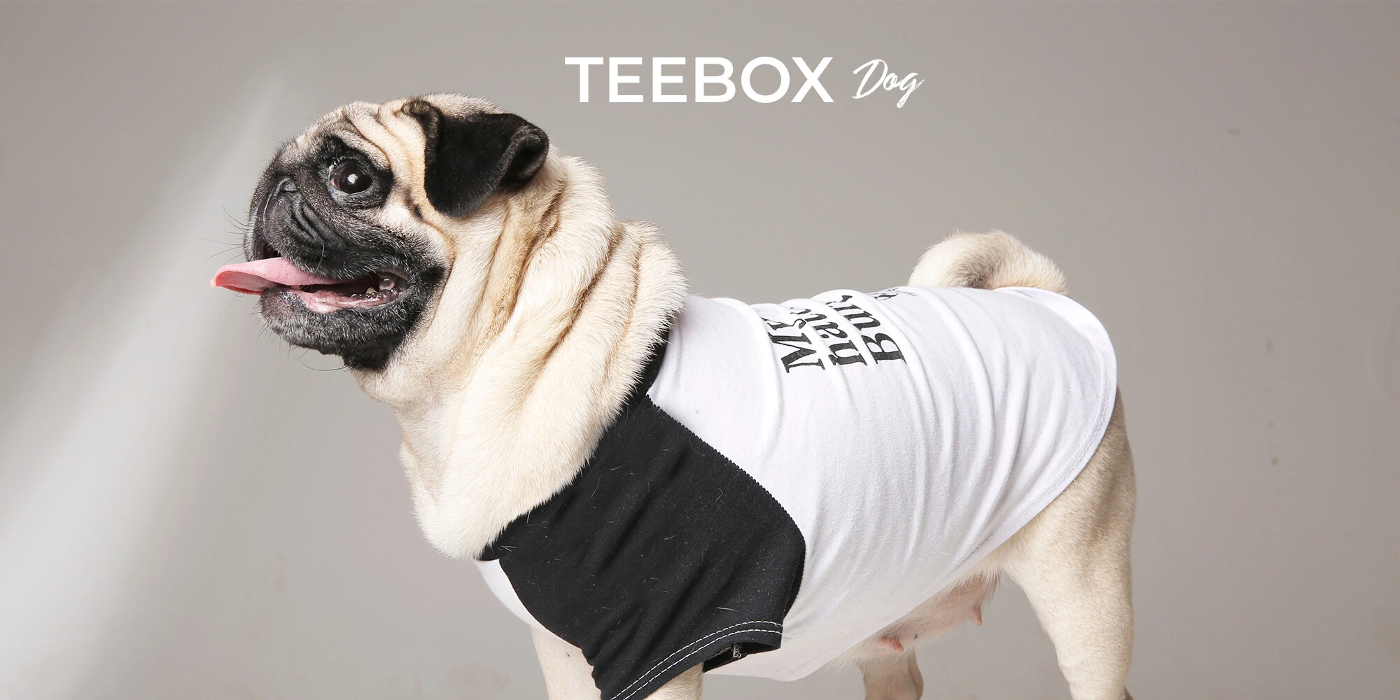 TEEBOX DOG