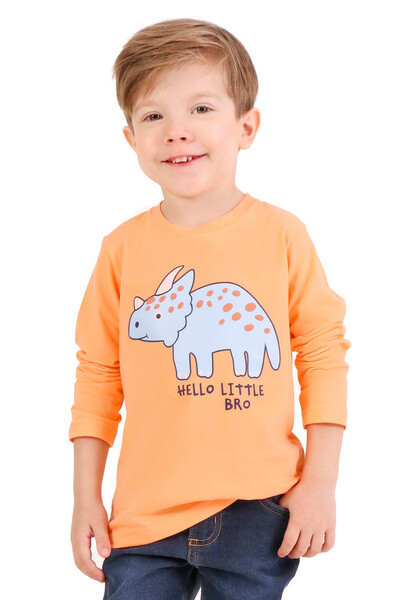 Foto Blusa De Manga Longa Infantil Masculina Com Estampa