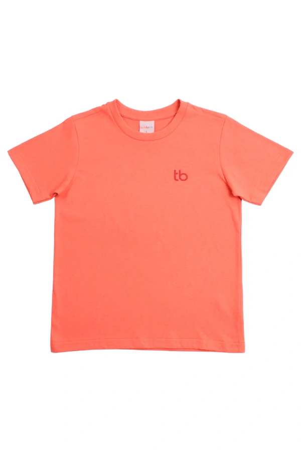 Camiseta Básica Infantil masculina TB