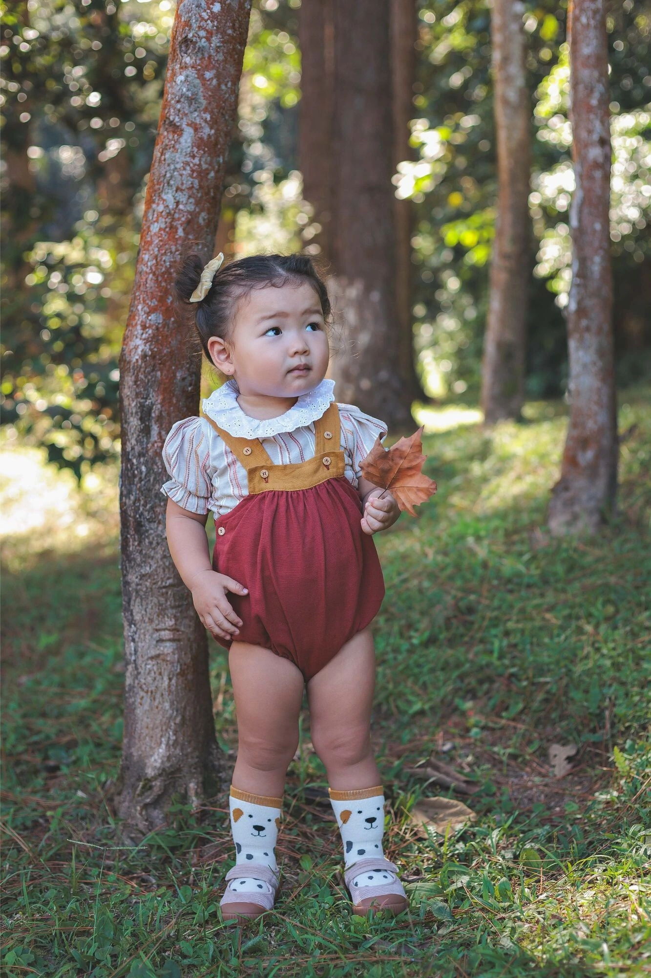 FotoJardineira Guga Sarja Vinho Mostarda