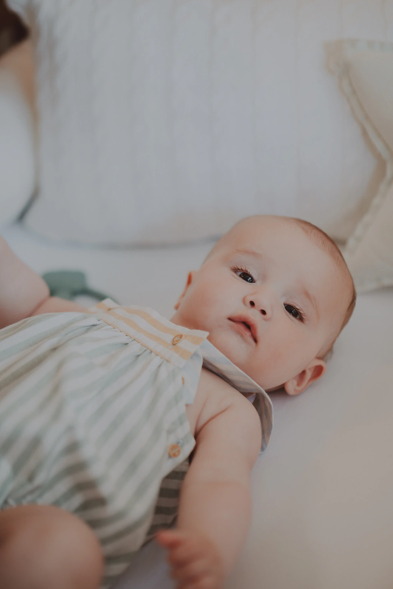 FotoJardineira Guga Listrinha Colorido