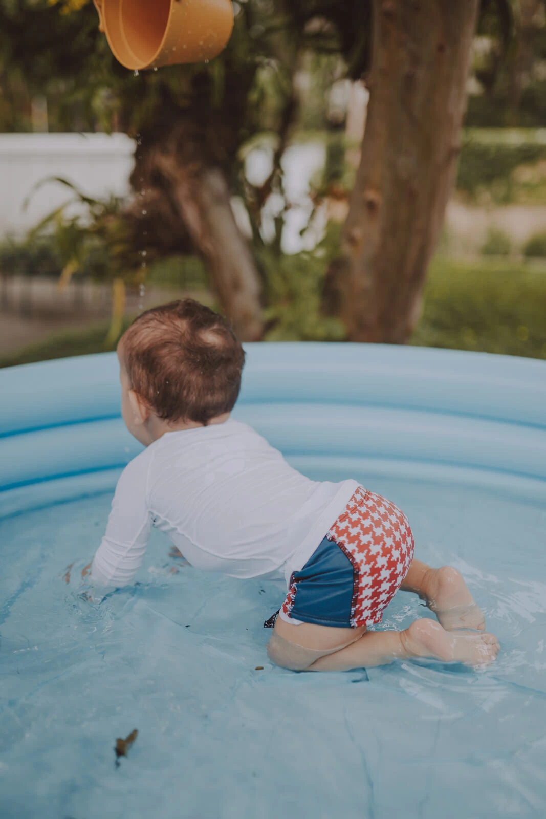 FotoSunga Gustavo Pied Poule Colorido