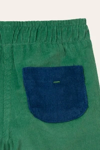 Calça Adora Veludo Azul Verde