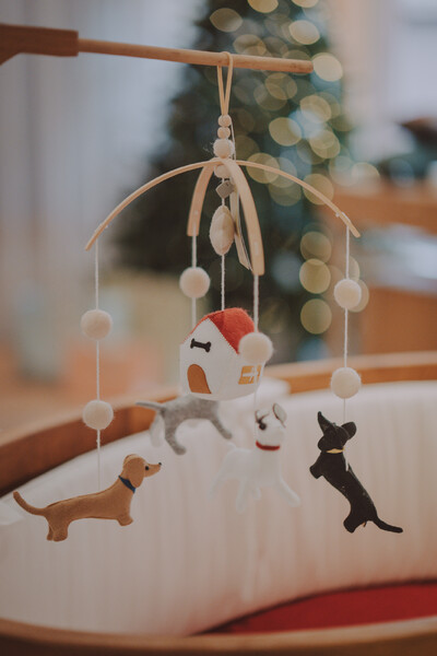 Foto Móbile Dogs Colorido