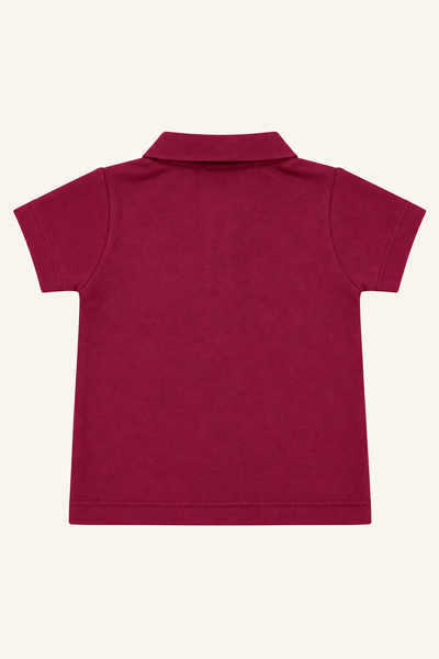 Foto Camiseta Piquet Polo Manga Curta Vinho