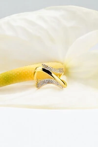 Anel Ondas Zircônia Banho Ouro 18K