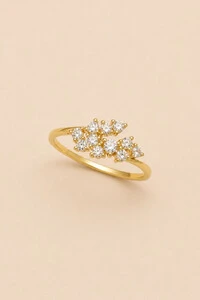 Anel Zircônia Banho Ouro 18K