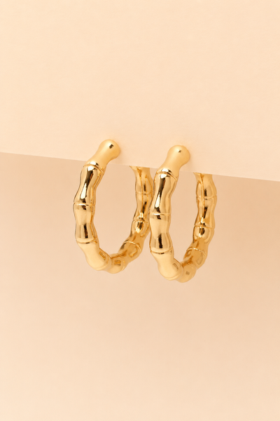 Foto Brinco Dourado Argola Bambu
