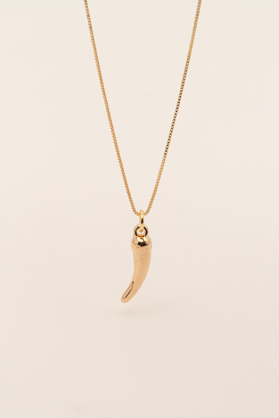 Foto Pingente Pimenta P Banho Ouro 18K