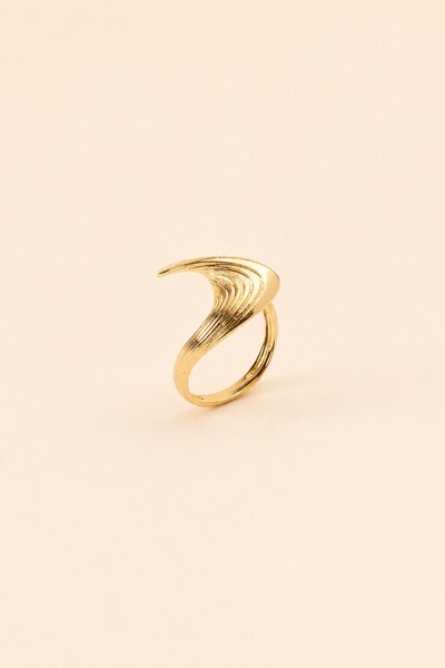 Foto Anel Onda Banho Ouro 18K
