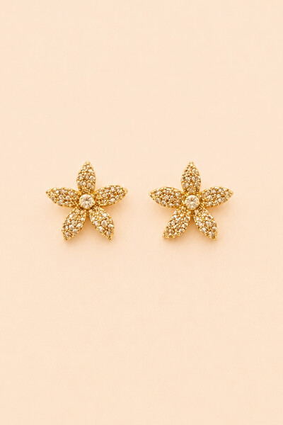 Foto Brinco Flor Zircônia Cristal Banho Ouro 18K