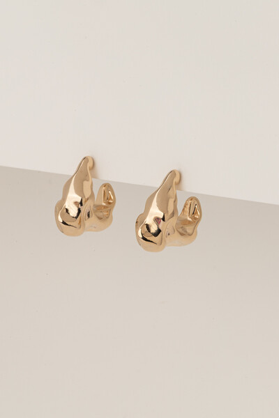 FotoBrinco Dourado Argola Orgânica