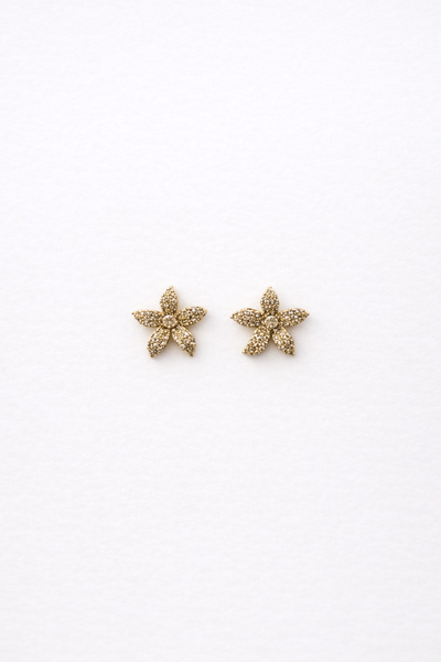 Foto Brinco Flor Zircônia Cristal Banho Ouro 18K