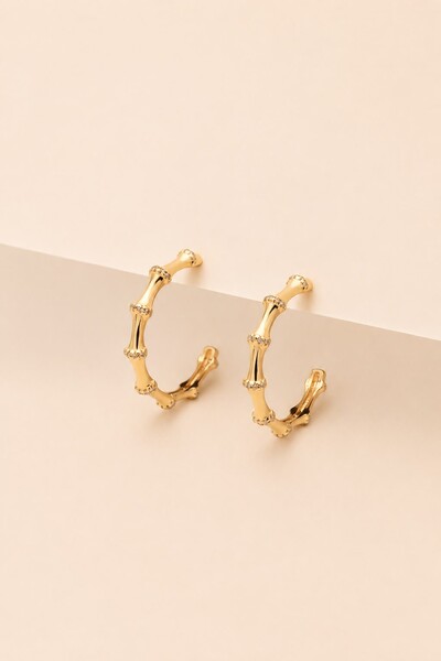 Foto Brinco Argola Bambu Zircônia Banho Ouro 18k