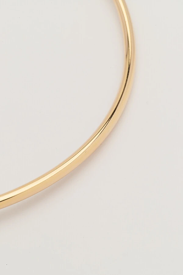 Colar Dourado Choker Tubo