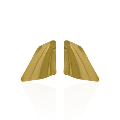 Foto Brinco Médio Placa Orgânico Fabiana