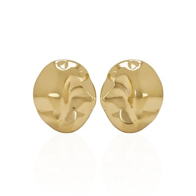 Foto Brinco Placa Médio Martelado