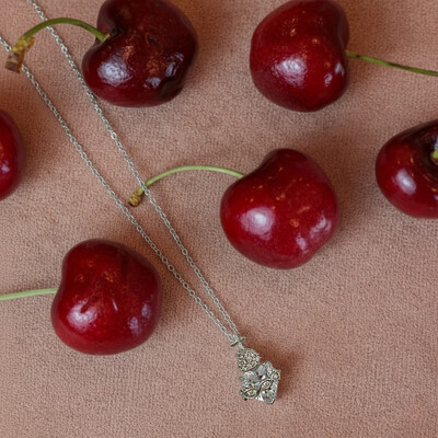 FotoColar Sagrado Coração Cristal