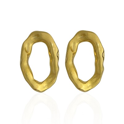 Foto Brinco Médio Aço Oval Vazado Orgânico