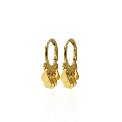 Foto Argola Pequena Pingente 5 Gotinhas Placa