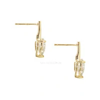 Brinco Prata 925 Lança Gota Moissanite M