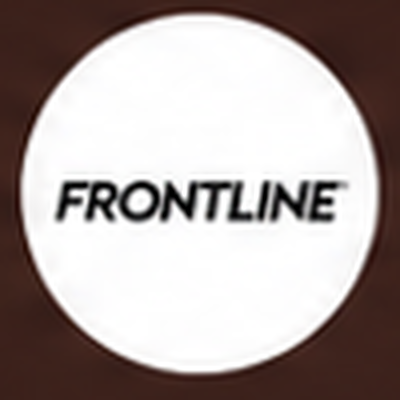 Frontline