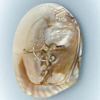 Bracelete Compasso com Cristal, Zircônias e Banho Ouro 18K